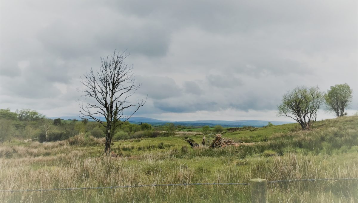 4 Bedroom New Build Bungalow 24, Glengeen Road, Trillick Kelly