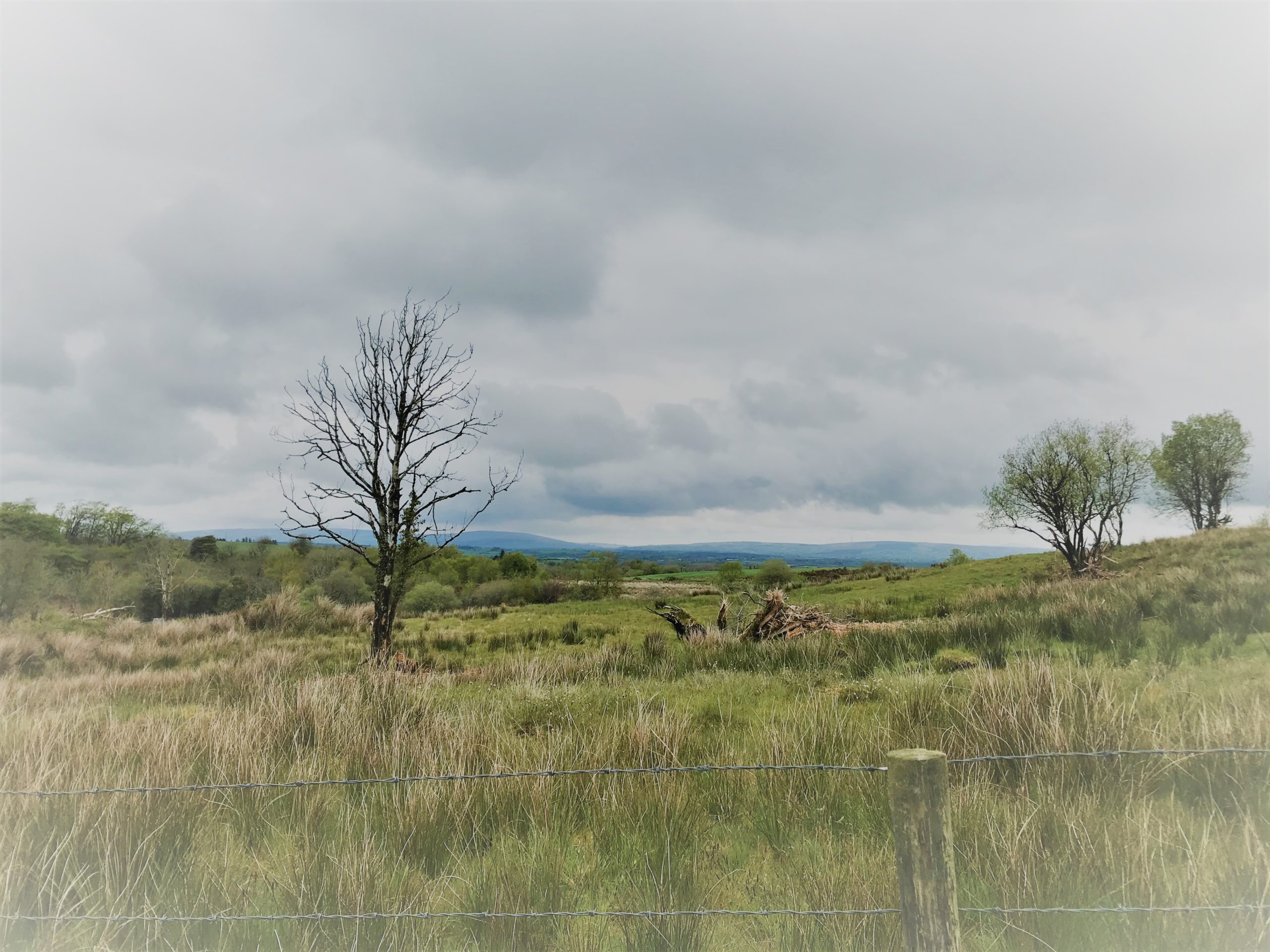 4 Bedroom New Build Bungalow 24, Glengeen Road, Trillick Kelly Sales Property Sales and